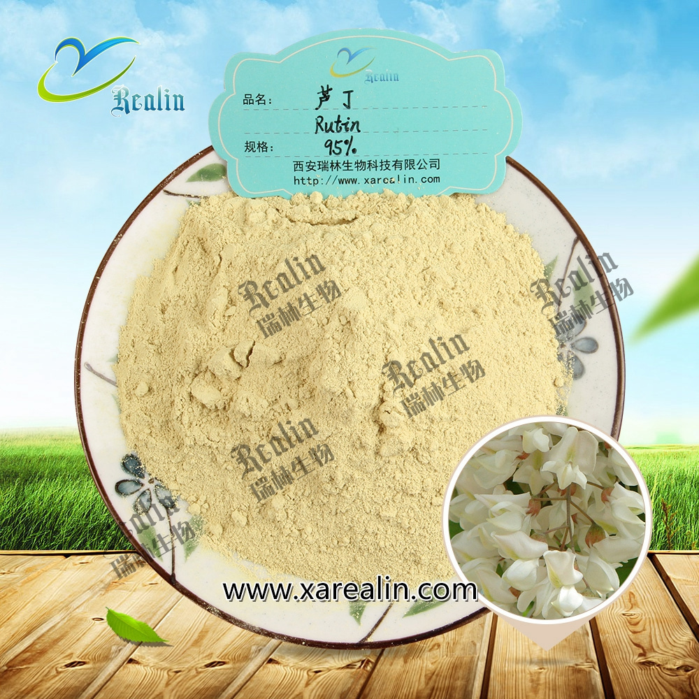 Health Products Material Sophora Japonica Extract NF11 95% Rutin Powder