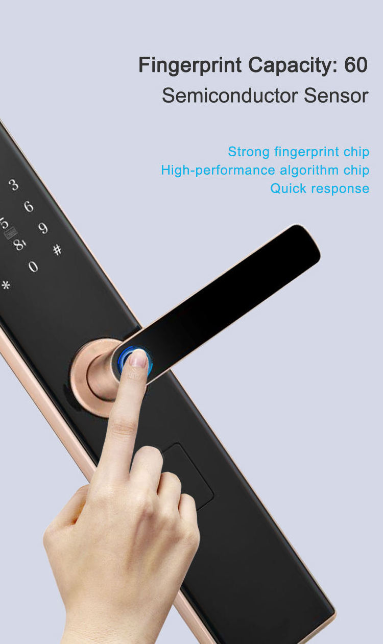 2023 Apartment Residence Fingerprint Door Lock Standalone IC Card Touch Keypad Lock and Scramble Password Unlock Smart Locks