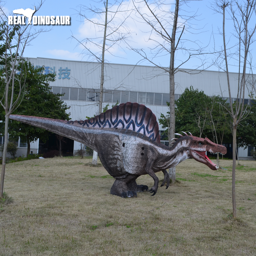 5.5m big Spinosaurus model Realistic Dinosaur Costume