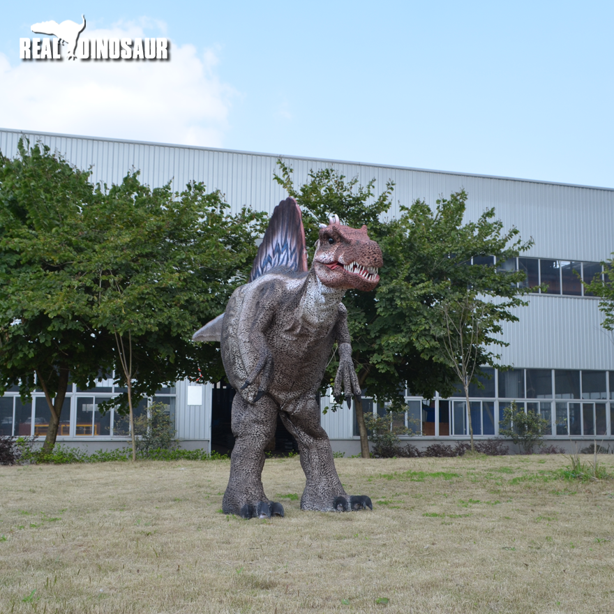 5.5m big Spinosaurus model Realistic Dinosaur Costume