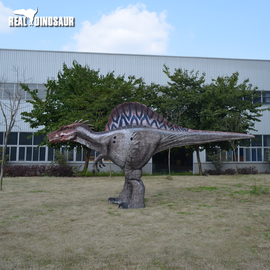 5.5m big Spinosaurus model Realistic Dinosaur Costume