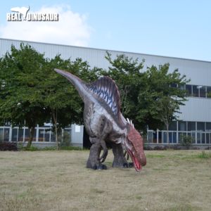 5.5m big Spinosaurus model Realistic Dinosaur Costume