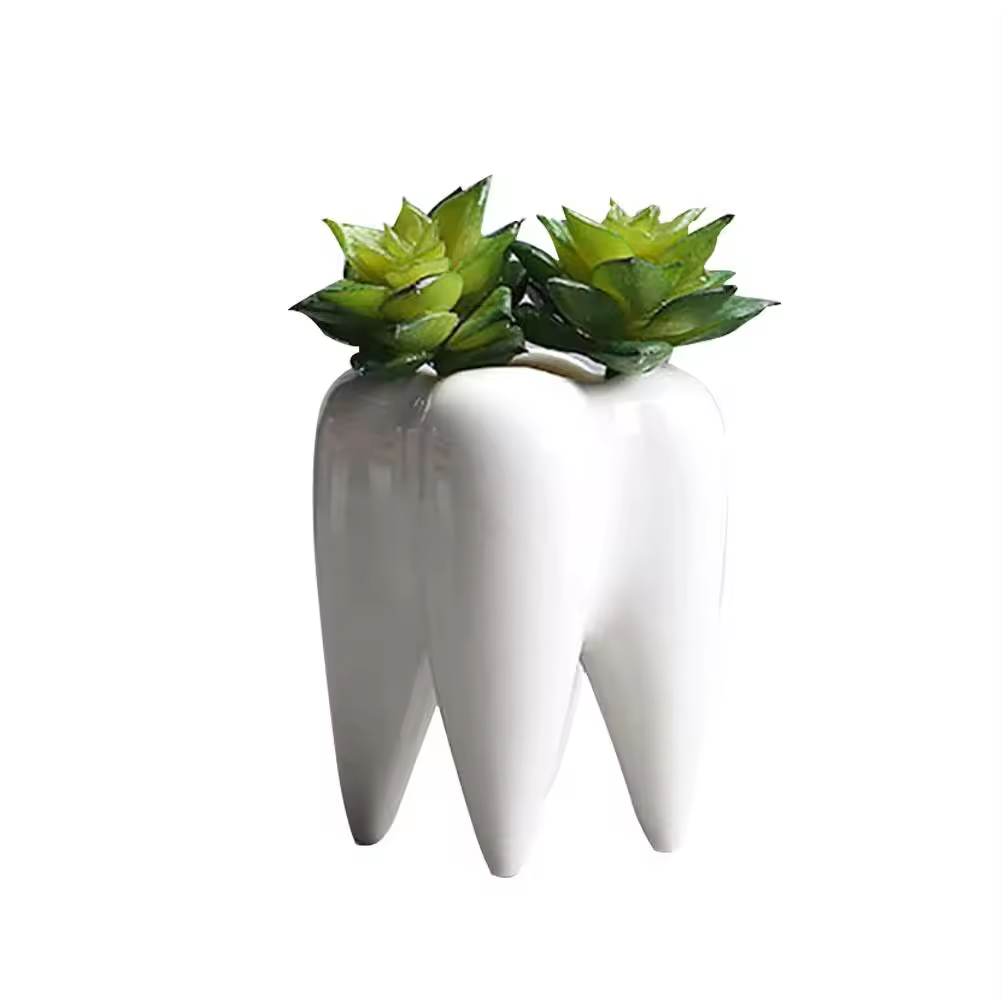 Hot ceramic teeth shape flower pot for dentistry bonsai pot tooth planter white ceramic succulent planter pots modern home decor