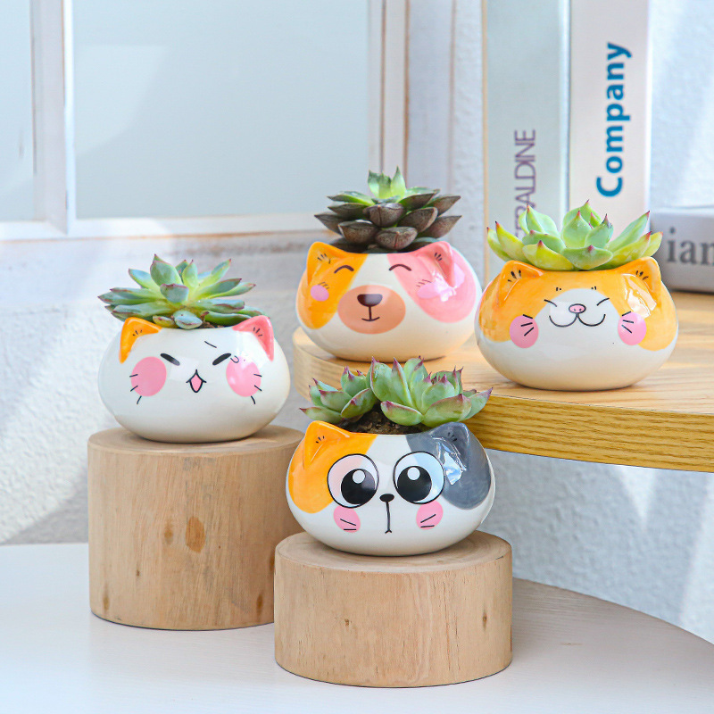 Creative Cartoon Animal Gardening Gardening Ceramic Mini Potted Plant Succulent Flower Pot