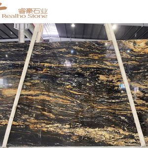 stunning granite TV wall cladding indoor flooring  natural stone Fantasy Golden dragon granite