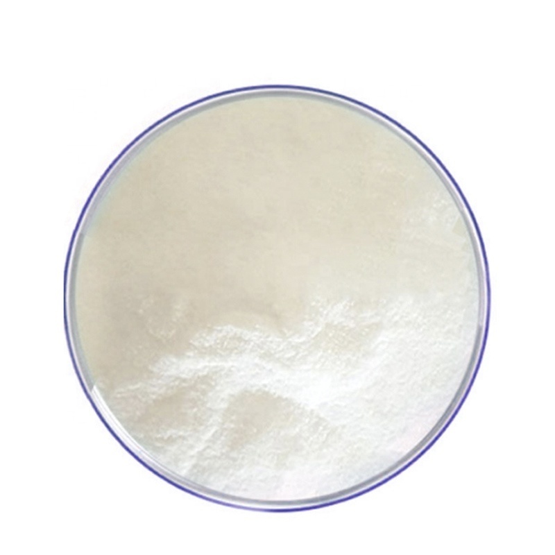 Wholesale Bulk Whey Protein Concentrate Supplier Isolate / Nutrition 100% Whey Protein Powder free sample