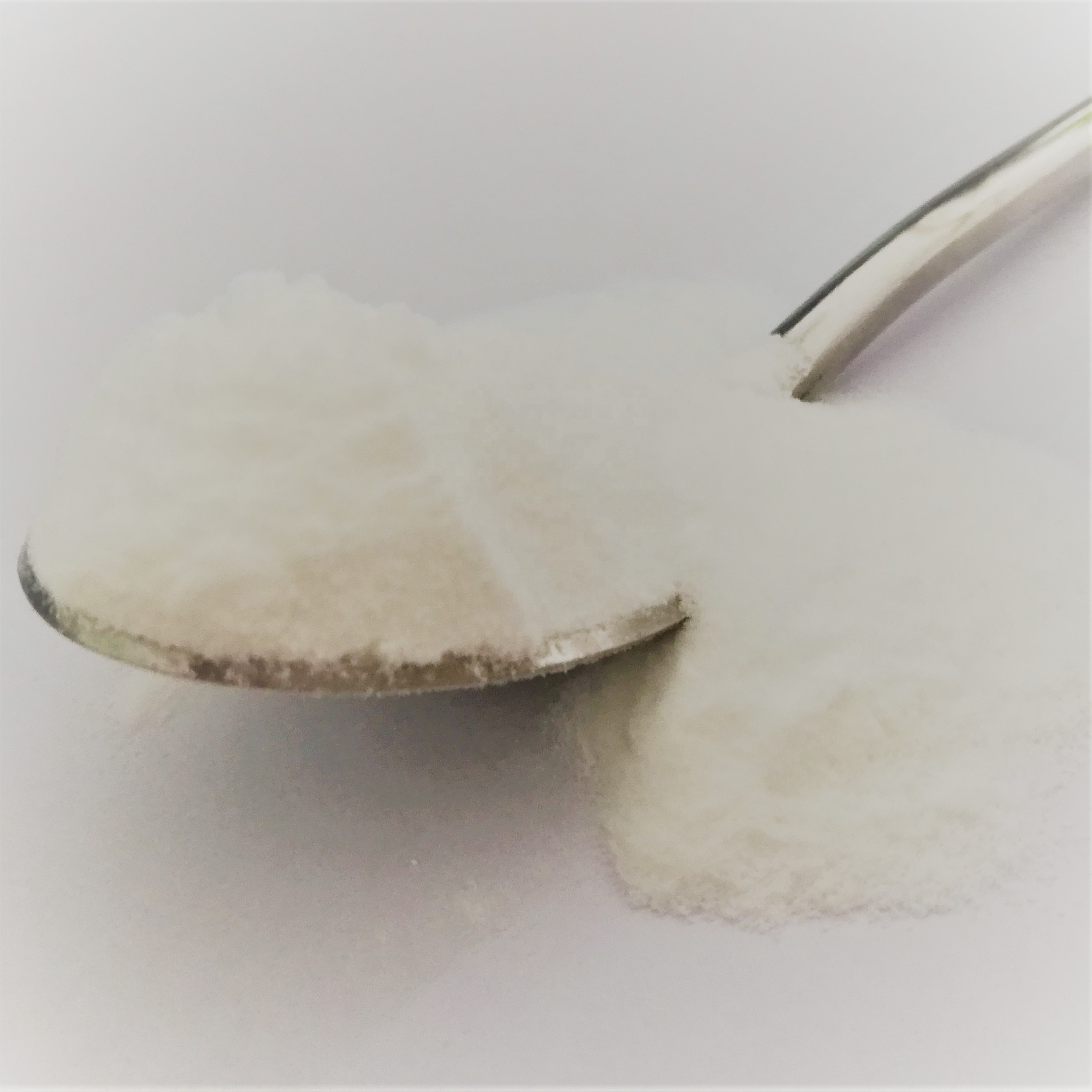 Wholesale Bulk Whey Protein Concentrate Supplier Isolate / Nutrition 100% Whey Protein Powder free sample