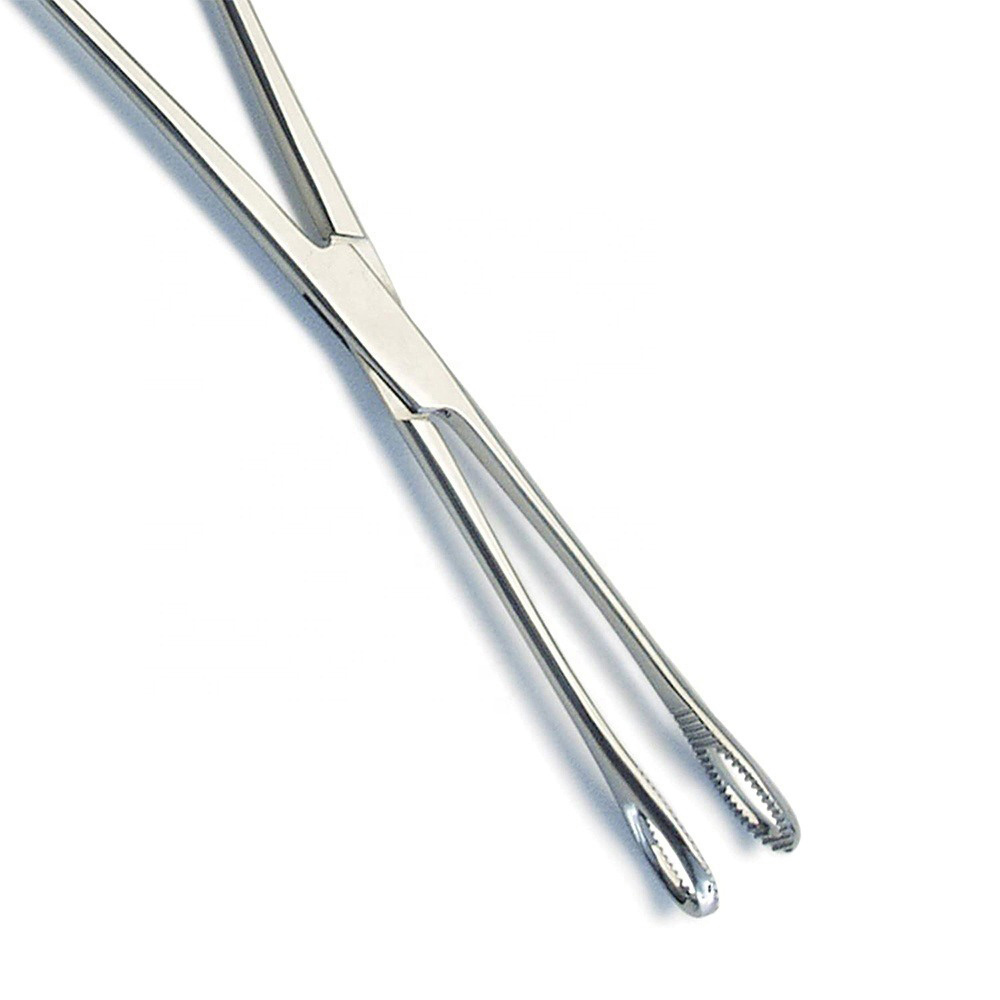 Wholesale Cheap Price Mini Forester Sponge Forceps Slotted Body Piercing Tools Piercing Forceps High Quality