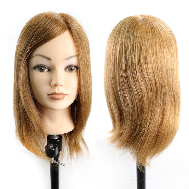 Factory outlet Cosmetology 100% Real Human Hair Salon Practice Hairdresser Training Head Mannequin Dummy Doll Mannequin Head