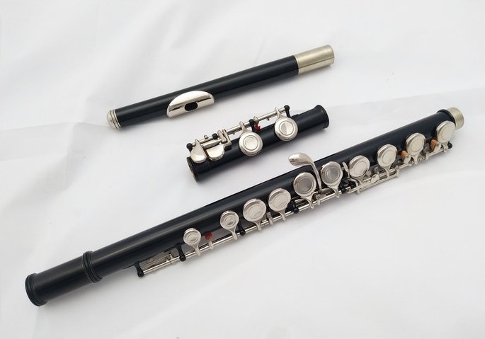 Weifang Rebon Cheap Satin Black C key 16 Holes  Flute