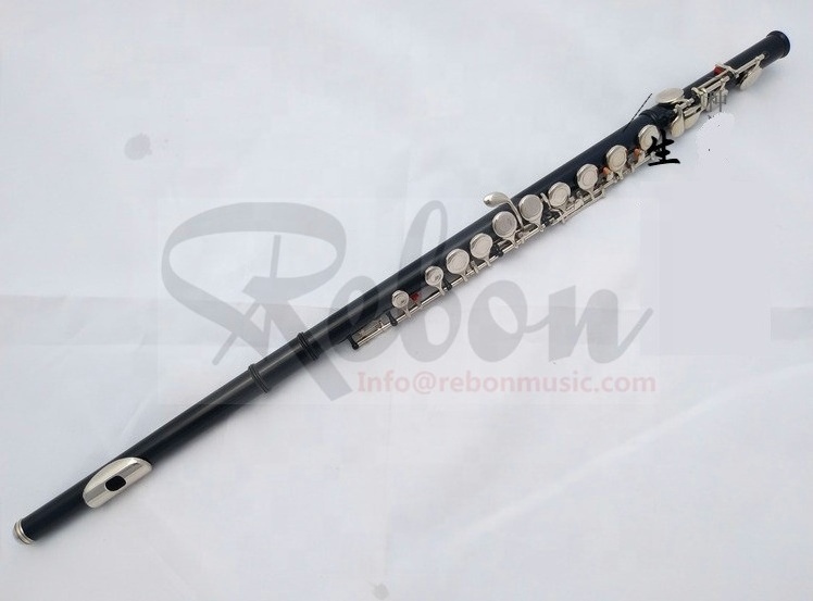 Weifang Rebon Cheap Satin Black C key 16 Holes  Flute