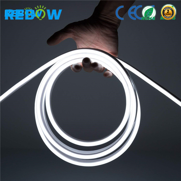 Drop Shipping 12V 24V Ip67 Wall Rgb Flex Rope Strip Lighting Tube Words Custom Led Neon Lights