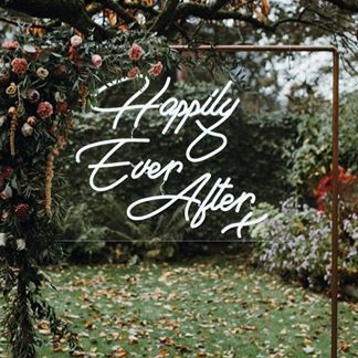 Drop shipping Electronic decoration happily ever after custom flex letters led neon light sign