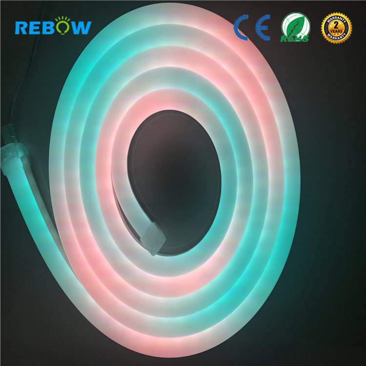 Silicon gel coat 12v digital RGB dream color led neon flex