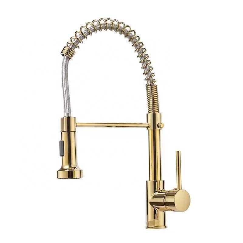 Redge - Spring Kitchen Faucets Pull Down Kitchen Sink Faucets Pull Out single function faucets