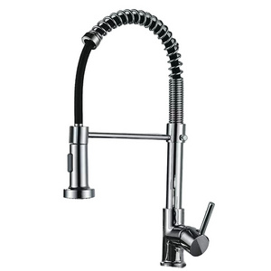 Redge - Spring Kitchen Faucets Pull Down Kitchen Sink Faucets Pull Out single function faucets