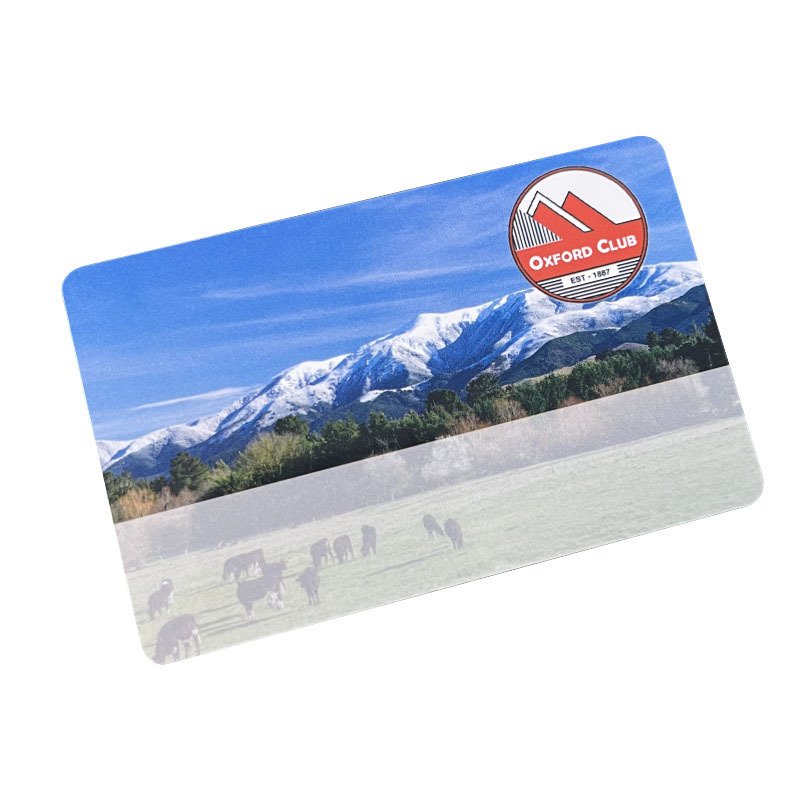 Factory Custom Printing CR80 Magnetic Stripe Membership Loyalty Card VIP Member Plastic PVC Cards