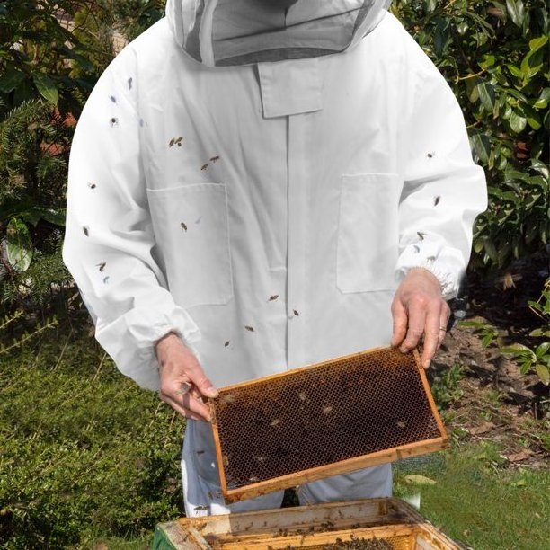 Suitable Bee Keeping Suit for Most Adults Beekeeping Work and Used for Anti-Mite and Mosquito Bites in Wild Jungle Outdoor Night