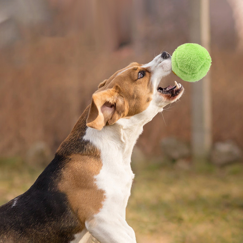 Interactive Funny Chew Plush Electric Rolling Ball Auto Pet Dog Cat Toys Ball With Four Color Plush Cover Non-toxic Safe Toys