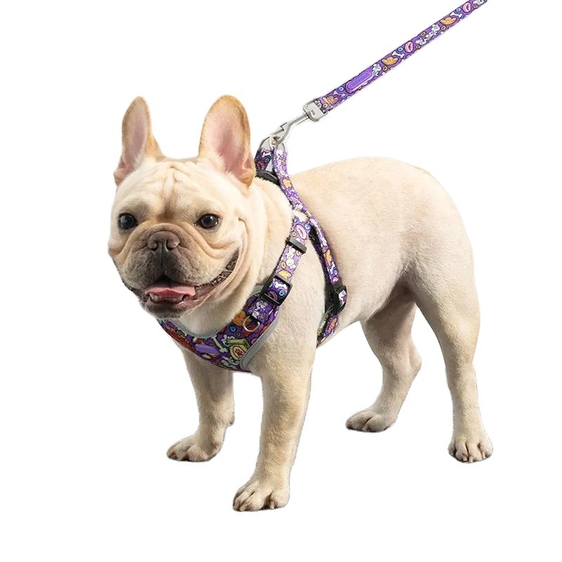 Dog Harness Front Clip Private Label Est Harness & Leash Combo Set Reflective Low Moq Two In One Y No Pull Dog Harness Set