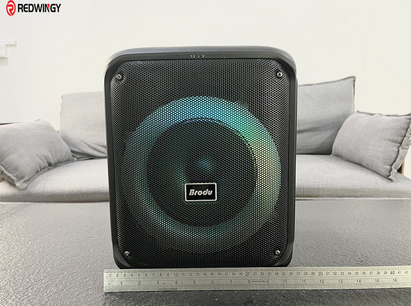 Big Sound 8 inch Subwoofer Home Theater With Wireless Microphone Portable Blue Tooth Speaker Wireless With Color Changing Lights