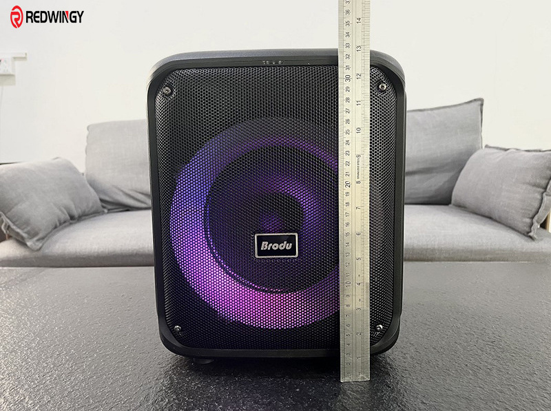 Big Sound 8 inch Subwoofer Home Theater With Wireless Microphone Portable Blue Tooth Speaker Wireless With Color Changing Lights