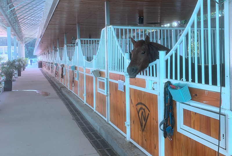 Pony wooden Horse stable Horse Stall Door