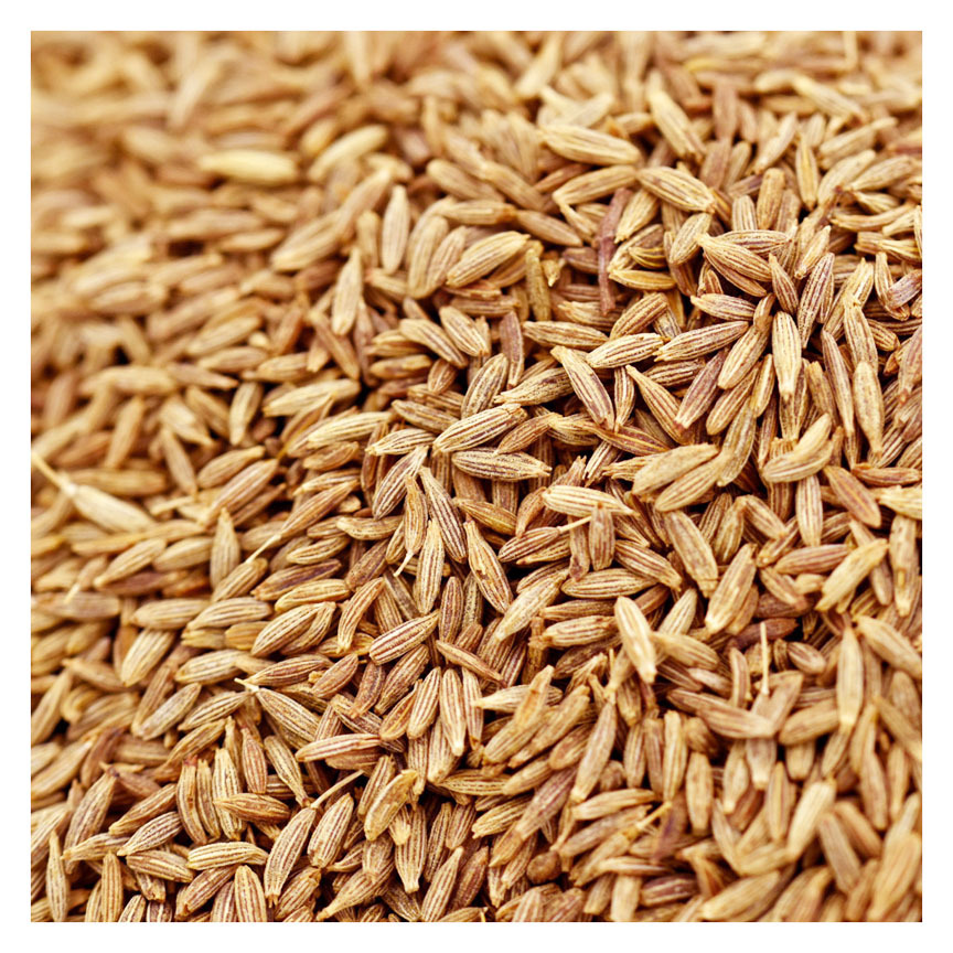 Pure Indian Spice Whole Cumin Seeds Jeera Seeds At Wholesale Price 99 Euro Cumin Seed High Quality