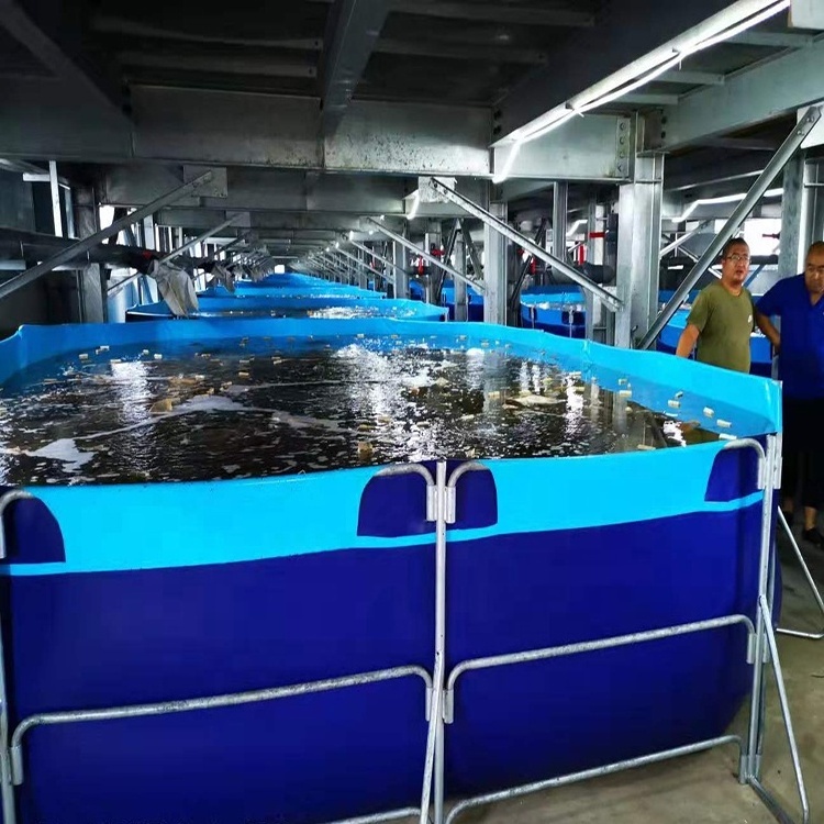 Aquaculture PVC fish tanks pond fish farming tanks for sale