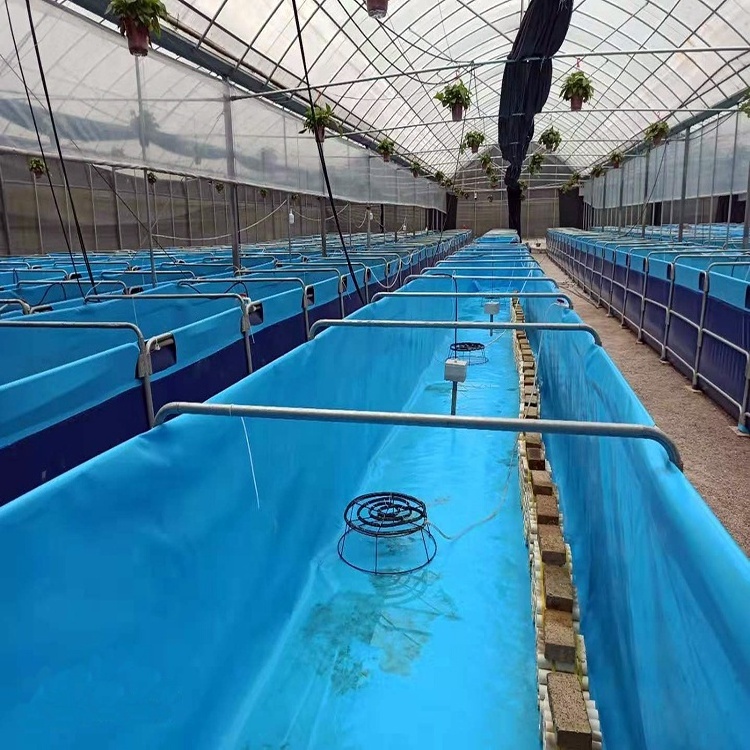 Aquaculture PVC fish tanks pond fish farming tanks for sale