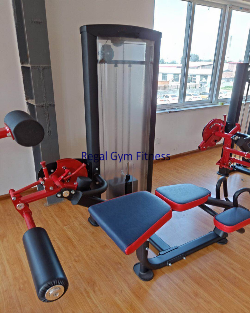 Sport machines gym equipment Low Row weight stack pin