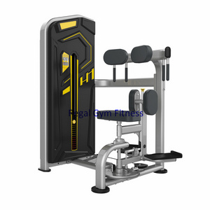 Commercial Gym Fitness Torso Rotation Fitness Machine