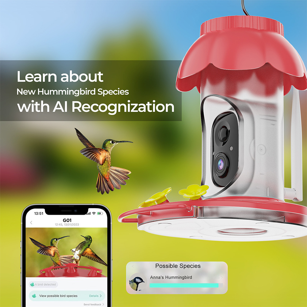 Vicohome Smart Color & Ir Night Vision Humming Bird Feeder With Camera 1080P For Bird Lovers Gift Ai Recognize IP65 Ant moat