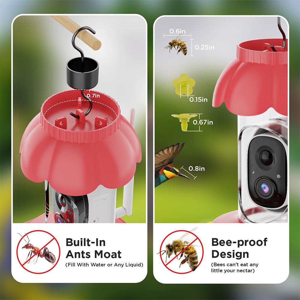 Vicohome Smart Color & Ir Night Vision Humming Bird Feeder With Camera 1080P For Bird Lovers Gift Ai Recognize IP65 Ant moat