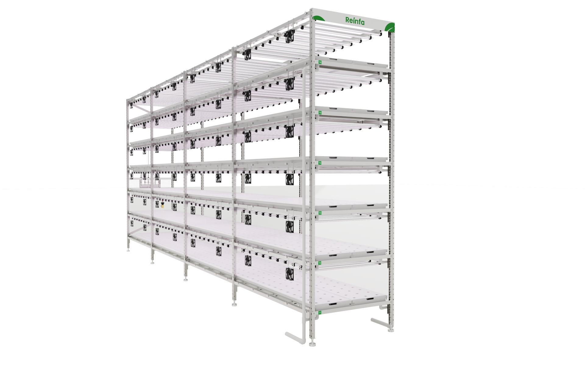 Reinfa Farmhydro: The Best Vertical Hydroponic System for Commercial Lettuce Growers