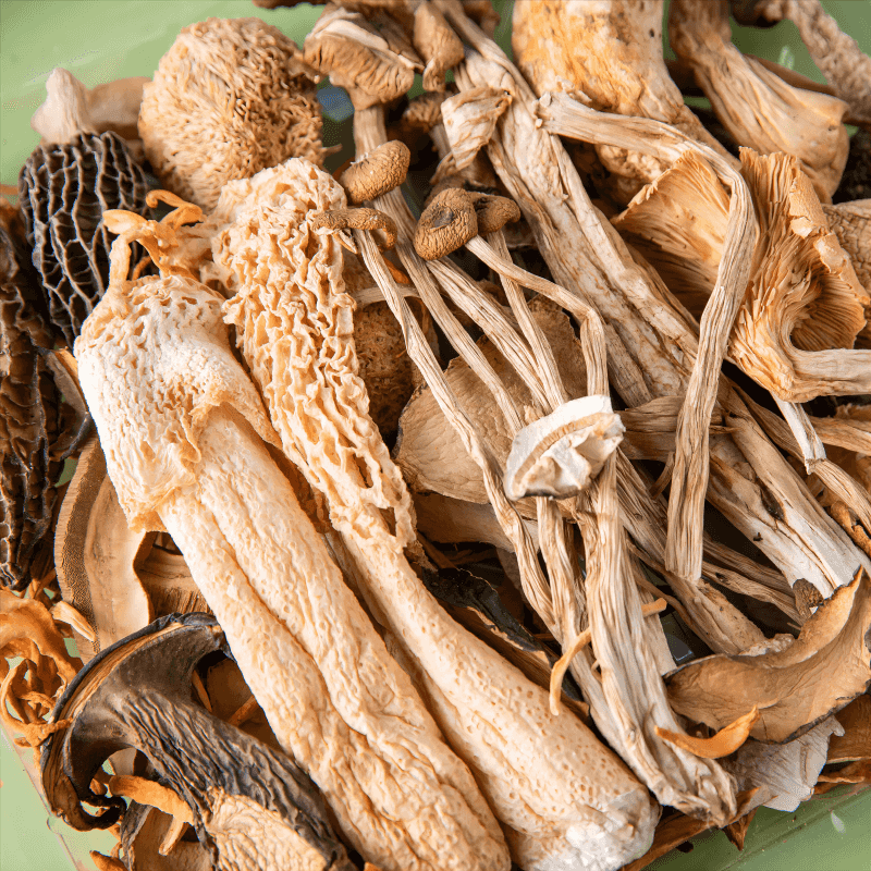 Authentic Wild Flavors Perfect Fusion of Special Mushrooms like Red Pine and Tea Tree Mushroom