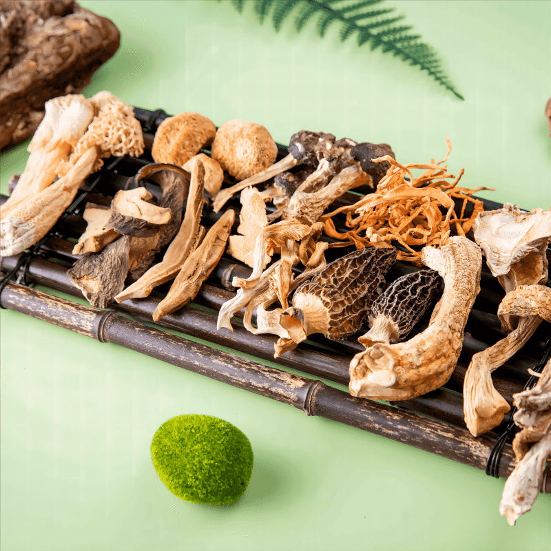 Authentic Wild Flavors Perfect Fusion of Special Mushrooms like Red Pine and Tea Tree Mushroom