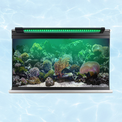 10000k aquarium light hotsell