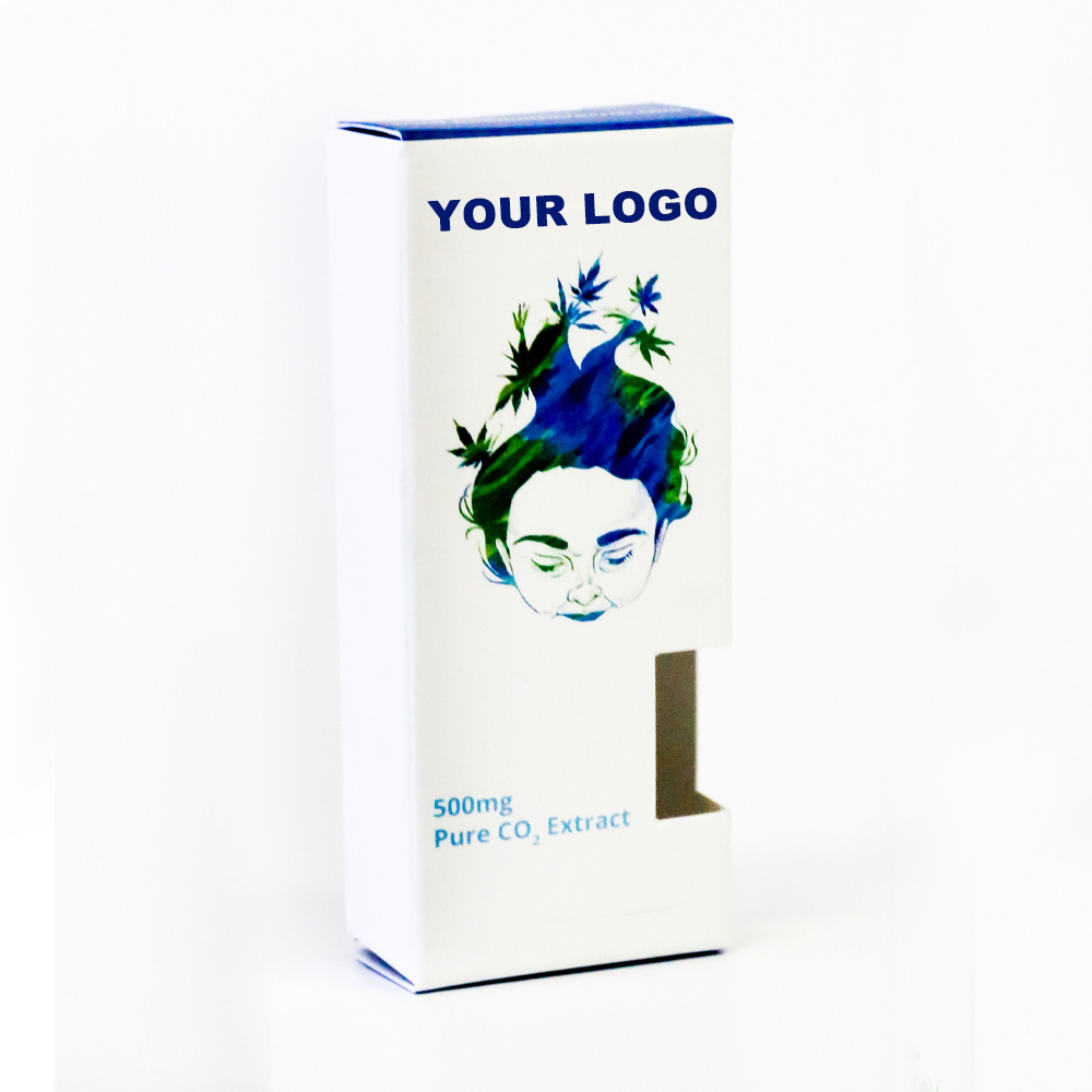 Custom LOGO printed 0.5ml 1ml 2ml 3ml 5ml pen paper box disposable package cart pen gift box pod child resistant packaging