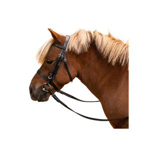 2023 New Collection Horse Training Walking Cotton Adjustable Heavy Duty Horse Reins At Best Price