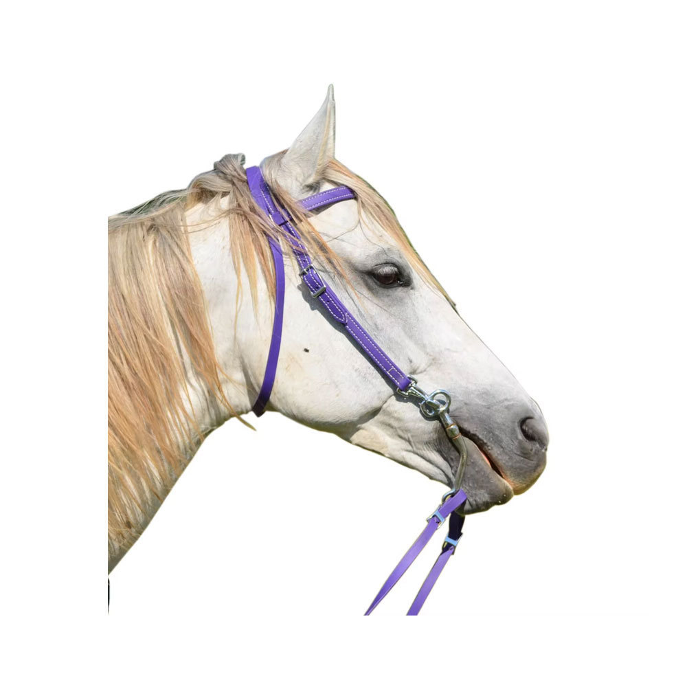 Leather BioThane Bridle for Horse Stable Riding Equestrian Dressage with Brow Band Noseband and Nylon Rope Headstall