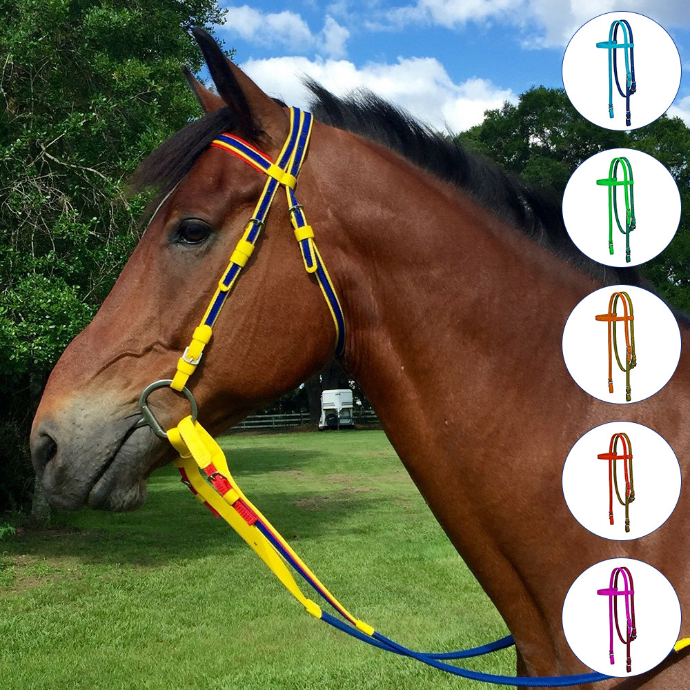 Horse Riding Product Buy Mosaic Design Two Tone Nylon Headstall Available In All Sizes