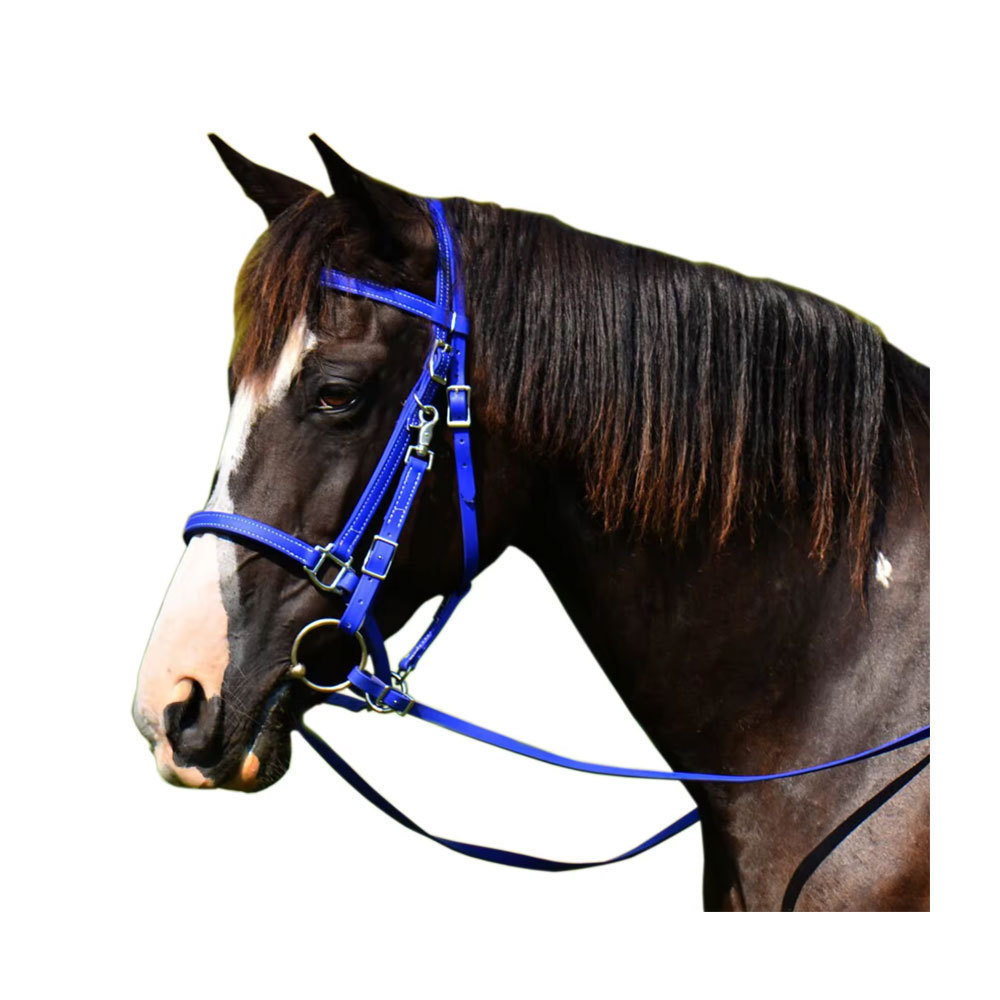 Best Selling Durable English Leather Horse BioThane Bridle Available At Custom Size