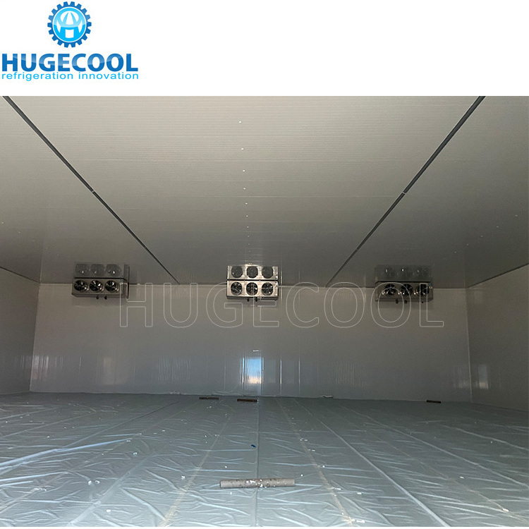 Factory cooling storage room chiller cooler room with compressor