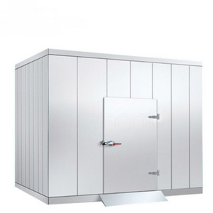 2X2X2.5m cold room walk in cooler/freezer storage room with monoblock condensing unit for fruit and vegetables