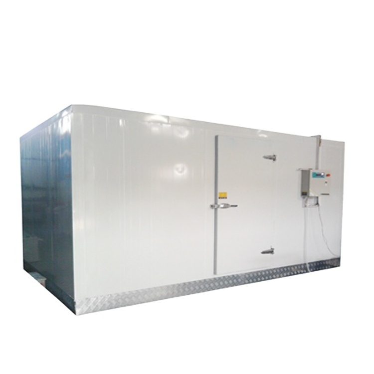 Low Temperature Freezer Room with Air Cooling Refrigeration