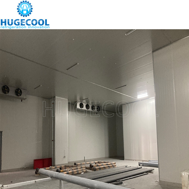 Solar powered 20 foot containers walk in frozen freezer cold rooms with air curtain materials for door