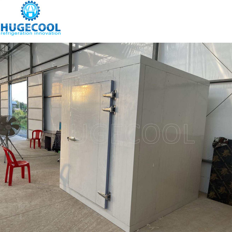 Factory cooling storage room chiller cooler room with compressor