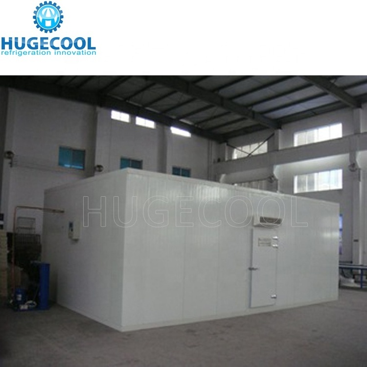 Commercial factory  cold storage freezing blast freezer room for potato meat, fish, chicken, seafood with refrigeration unit