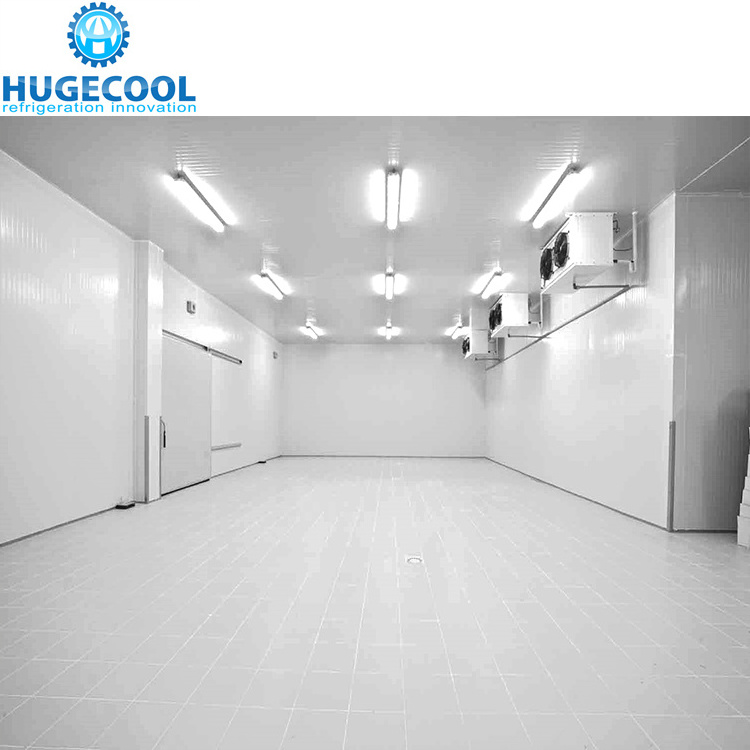 Best selling commercial fish cold room price for vegetables cold storage panel cool/ cold room for sale